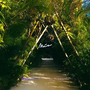 Hotel Mia Tulum Resort